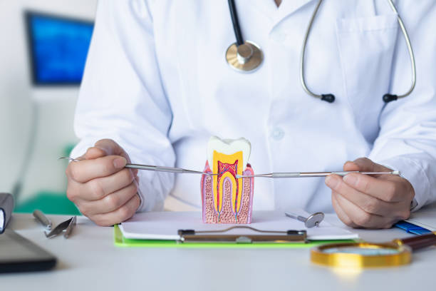 Best Broken or Cracked Tooth Emergency Dentist in Box Elder, SD